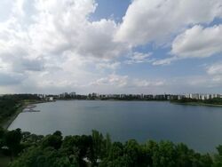 Waterfront Isle (D16), Condominium #619522881